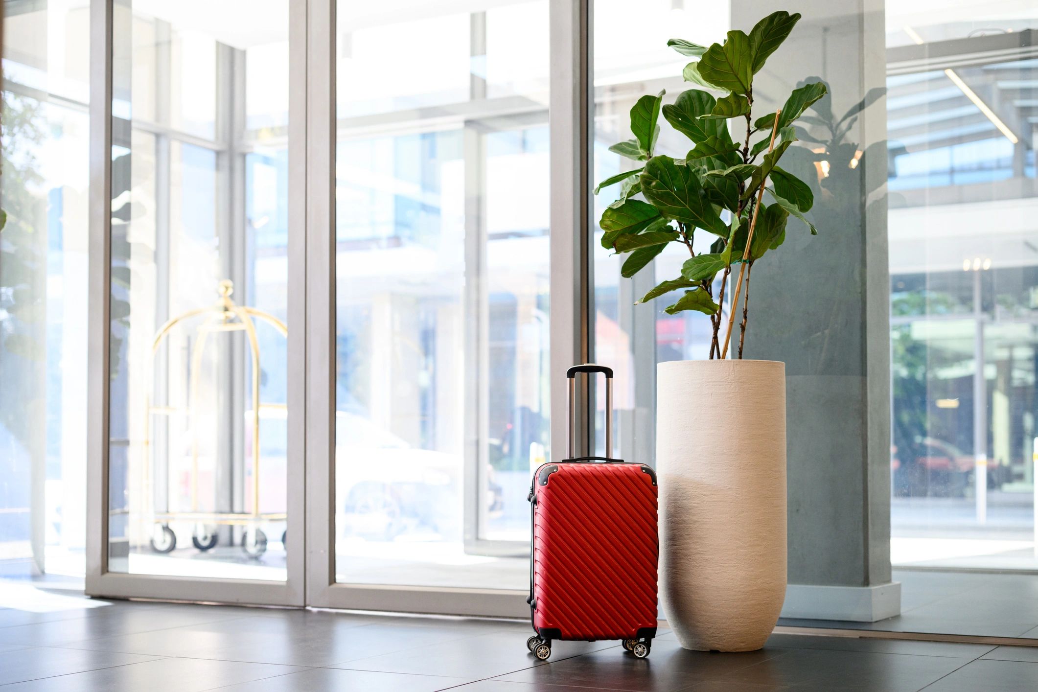 Contemporary hotel entrance with luggage